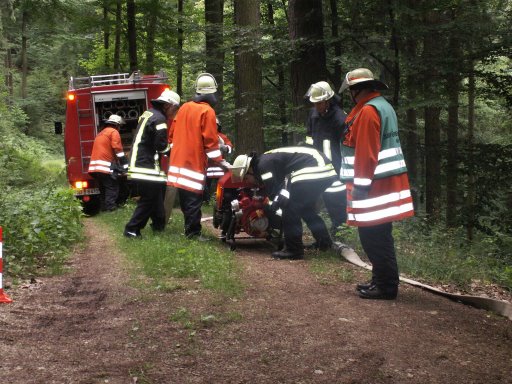 Feuerwehr Weinheim Oberflockenbach Waldbrandübung Gorxheimertal