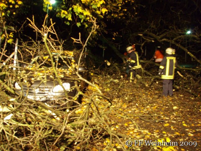 Feuerwehr Weinheim umgestürzter Baum Niebelungenstraße
