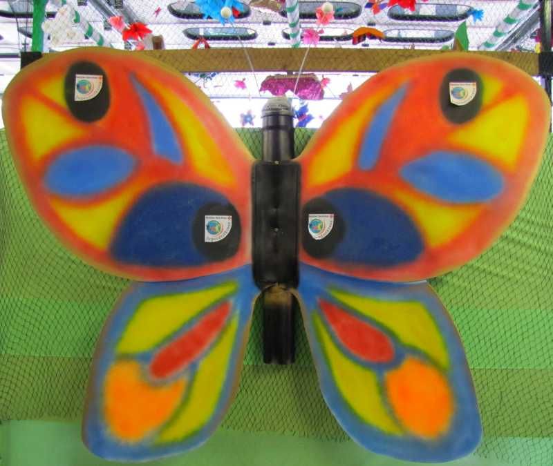 Welcher Motivwagen gehört zu diesem Schmetterling?