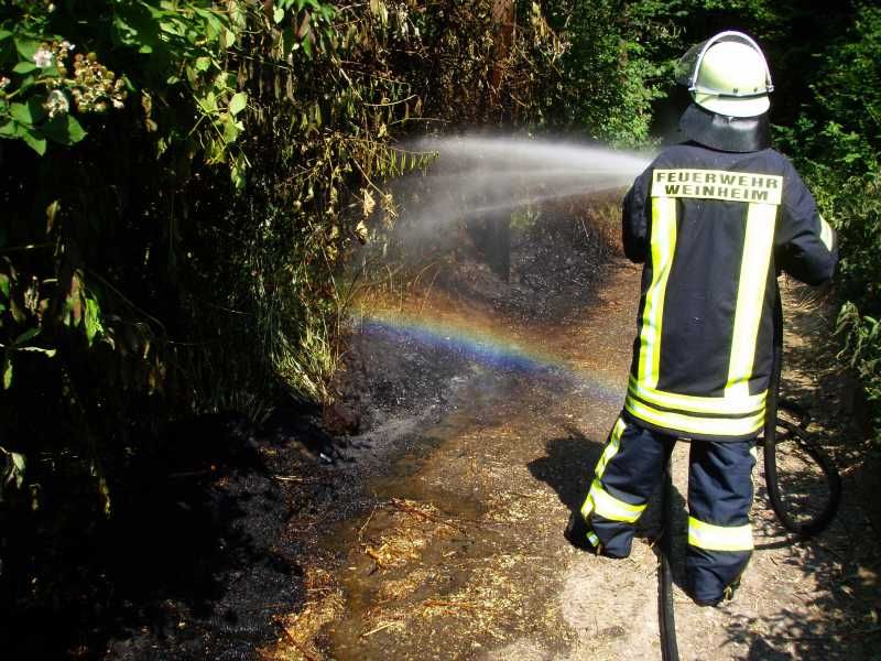 Flächenbrand im Langgassenweg