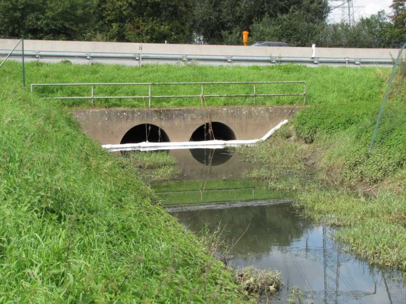 Gewässerverunreinigung am Landgraben in der Daimlerstraße