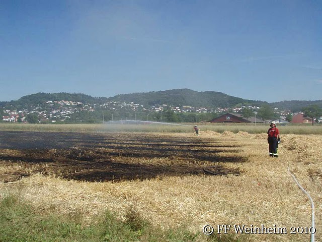Flächenbrand Gefahr steigt