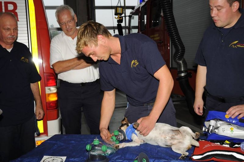 Weinheimer Feuerwehr erhält Tierrettungsmasken