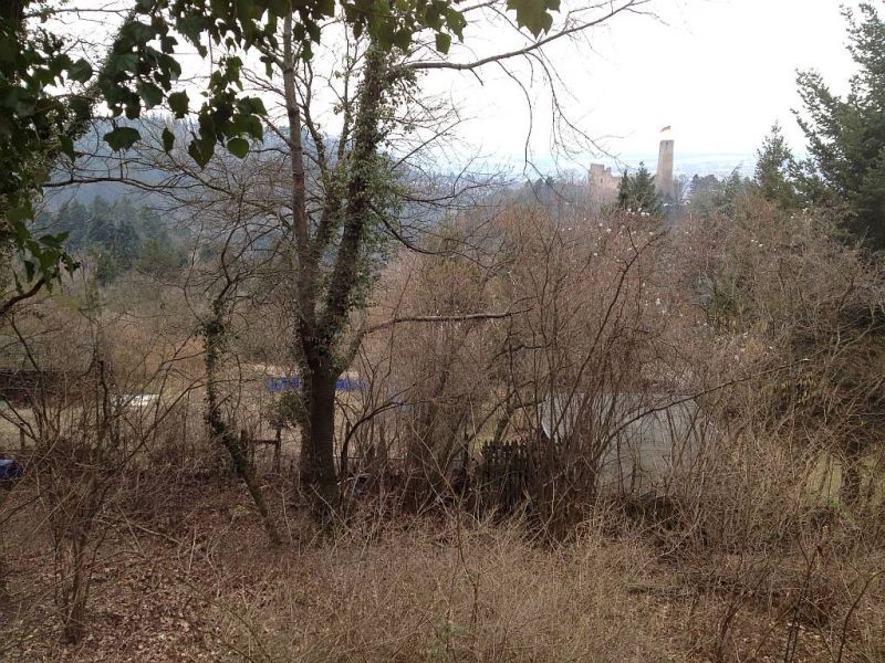 Blick auf die Windeck