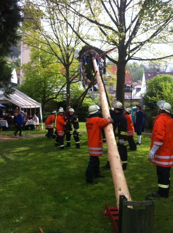 Brandschützer stellen Maibaum in Sulzbach 