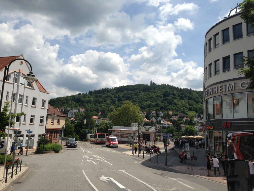 Bienenschwarm und brennender Toaster