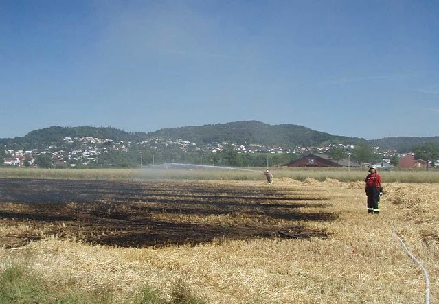 Wald und Flächenbrand Gefahr ist jetzt schon in der Region sehr hoch
